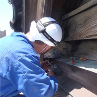 駆除作業の実施