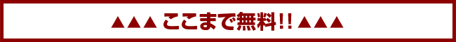ここまで無料!!