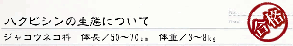 ハクビシンの生態について