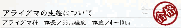 アライグマの生態について