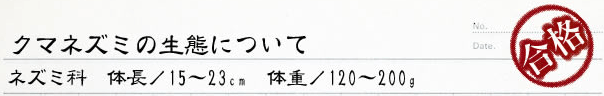 クマネズミの生態について