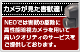 カメラが見た害獣達！　NEOでは害獣の駆除に高性能暗視カメラを用いて高いクオリティのサービスをご提供しております。