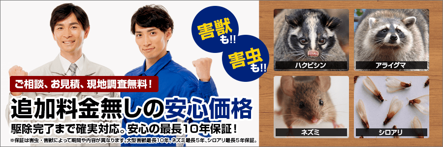 追加料金無しの安心価格